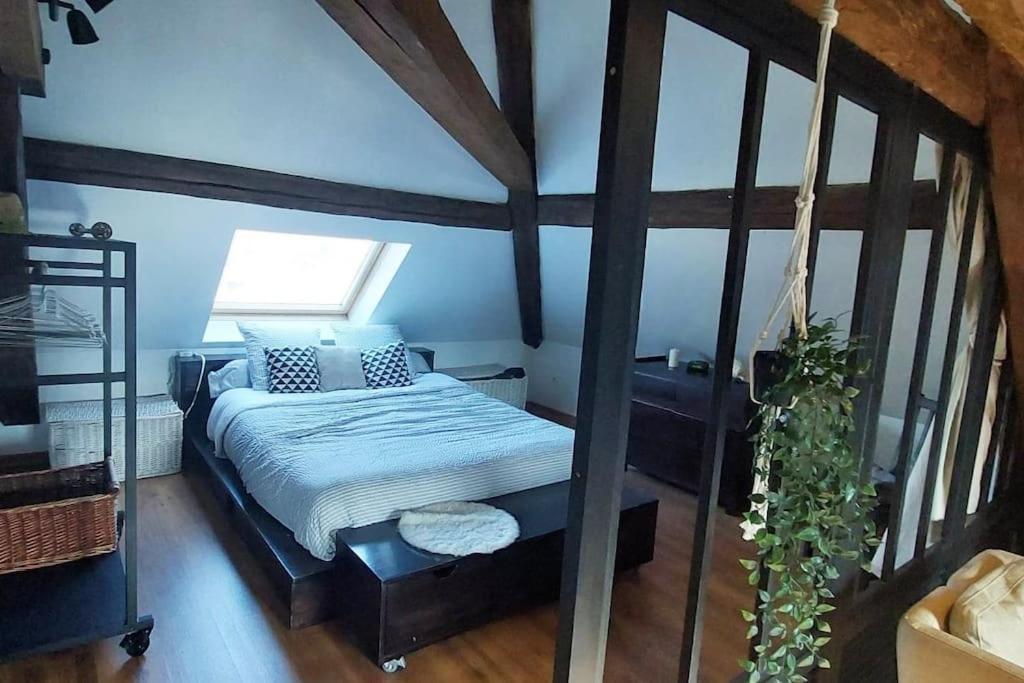 *New*Les Amandines Le Loft* Wifi Apartamento Allevard Exterior foto